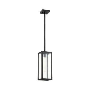 Parks Coastal Outdoor Pendant